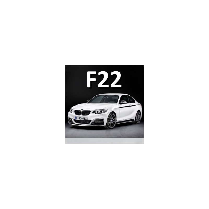 DataDisplay F22